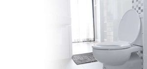Toilet Seat Cover Install/Replace Services in Chennai