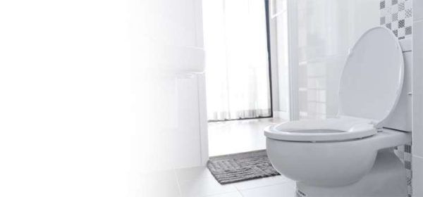 Toilet Seat Cover Install/Replace Services in Chennai