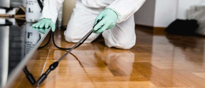 Tips for Finding the Best Pest Control Service