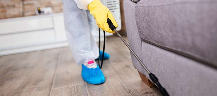 Important factors to consider when you do disinfection Service