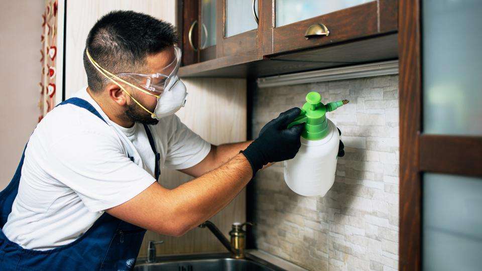 Best Pest Control Services in Chennai