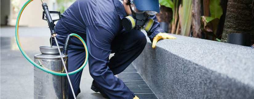 The 5 Benefits Of Total Pest Management And How They Help In Keeping The Pests At Bay