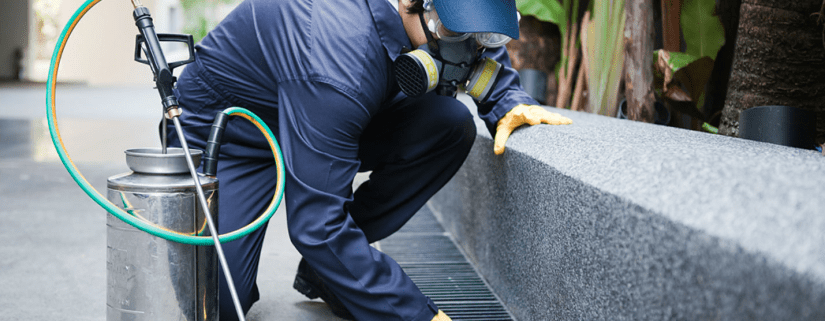 Different Types of Pest Control Methods