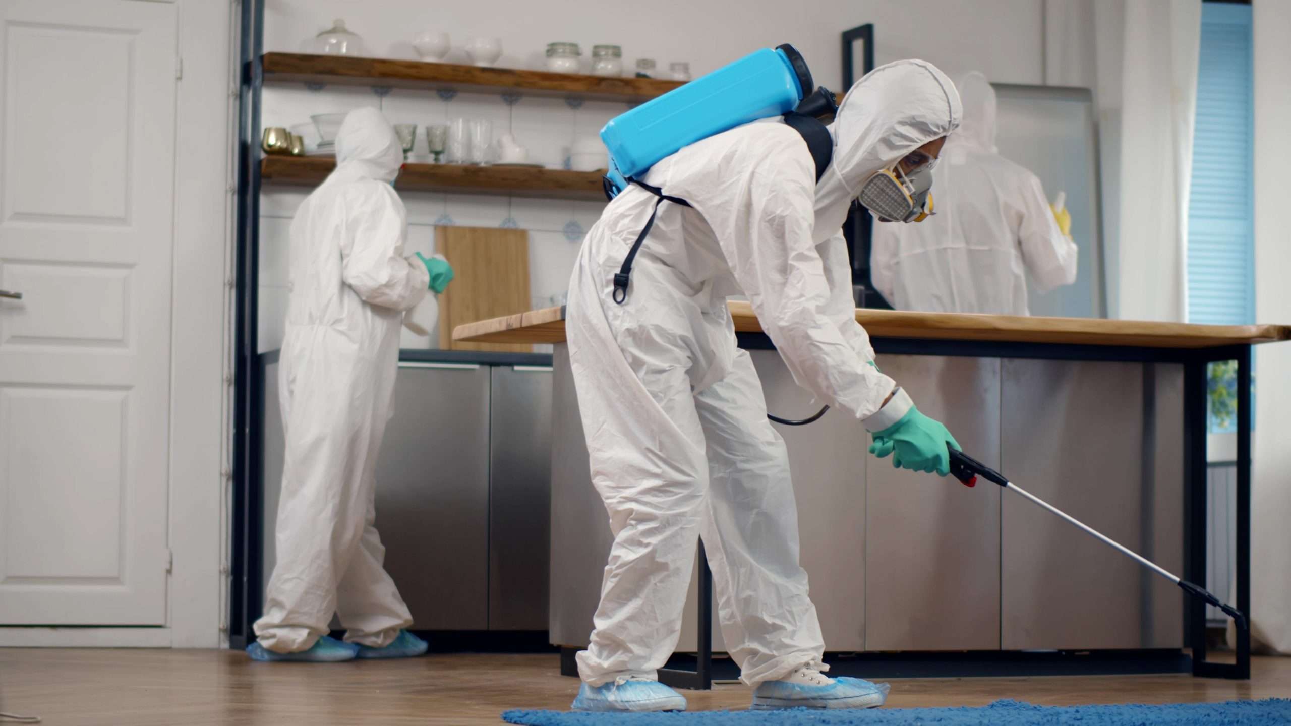 Commercial And Residential Pest Control in Chennai